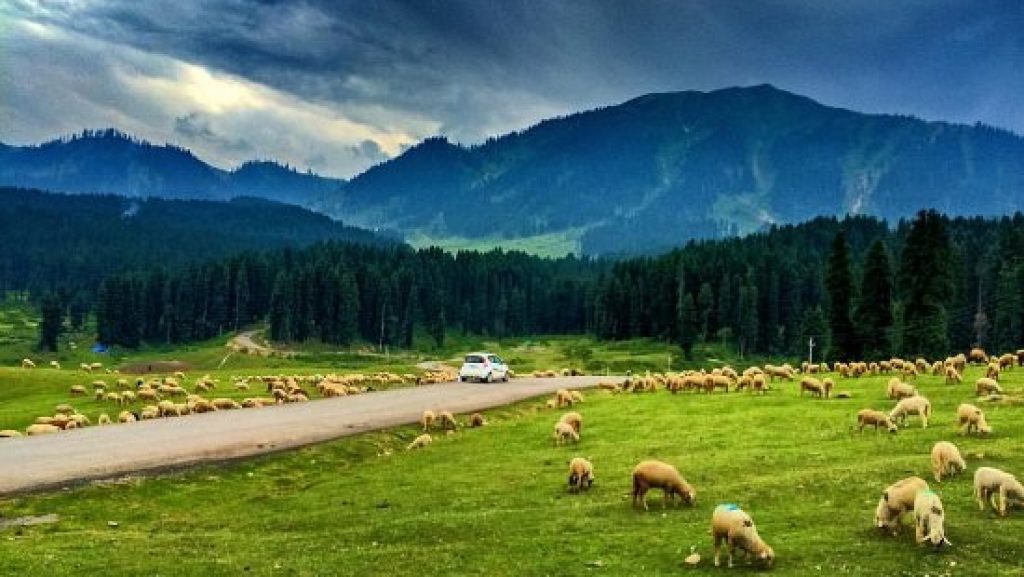 Doodhpathri - Countryside Kashmir